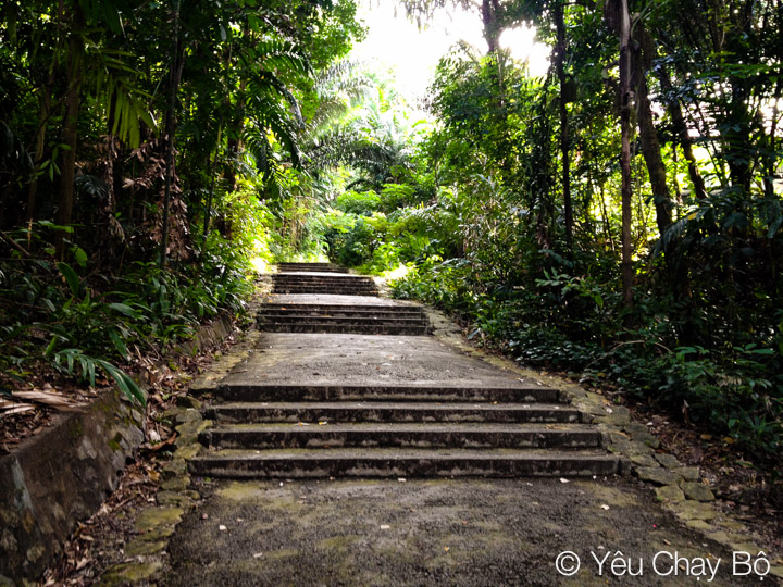 Bậc thang nối tiếp bậc thang trong Marang Trail