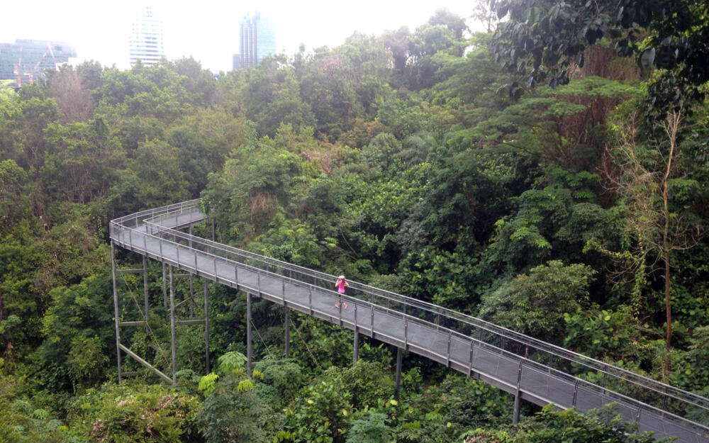 [10/08/2014] Chinh phục Hort Park - Southern Ridges, Singapore - hort park southern ridges 16