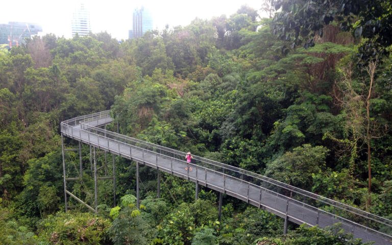 [10/08/2014] Chinh phục Hort Park – Southern Ridges, Singapore