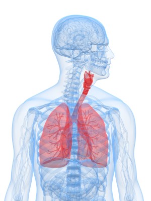 Cách hít thở khi chạy bộ: hãy thở theo cách của bạn - Lungs