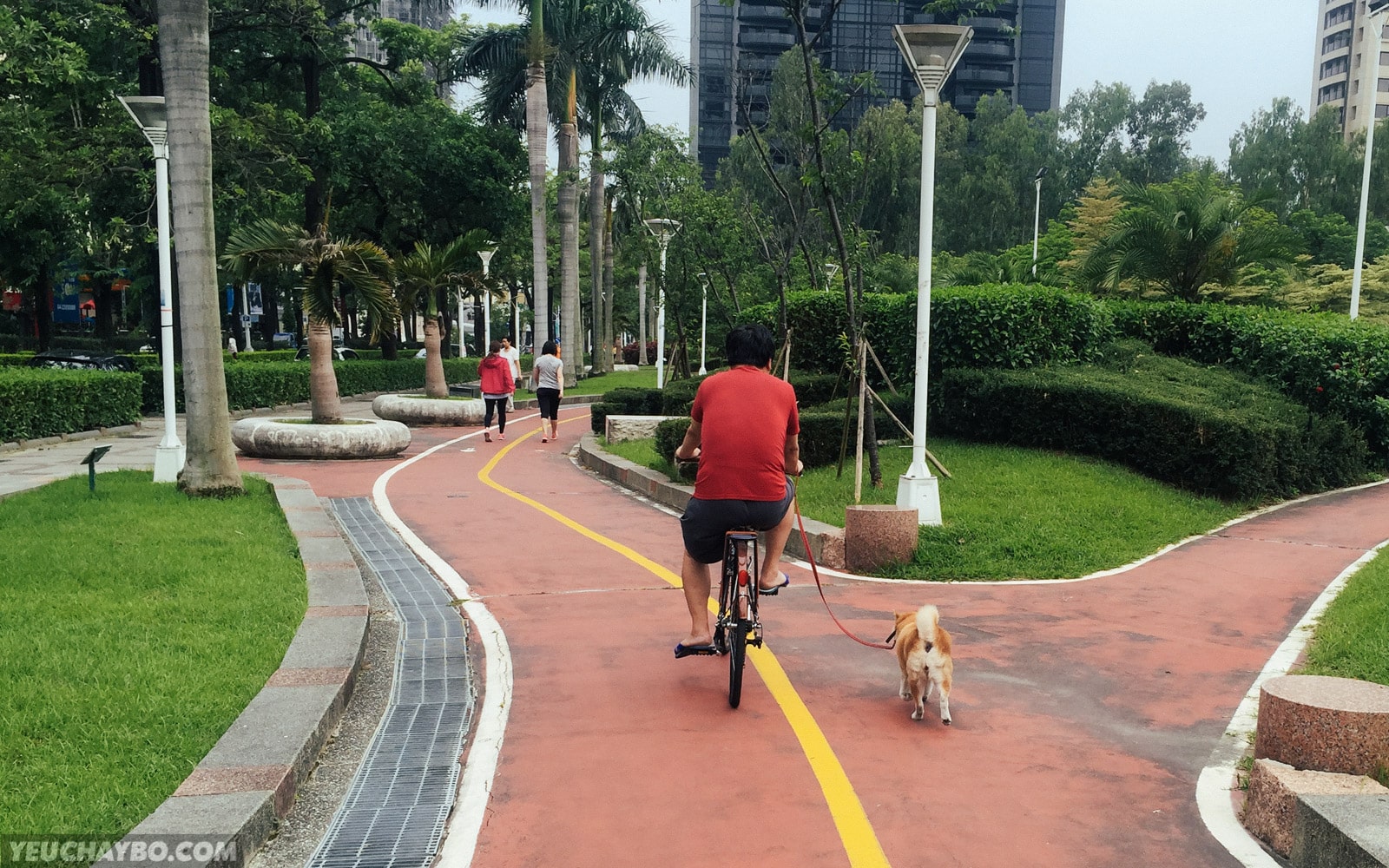 Đạp xe dẫn chó