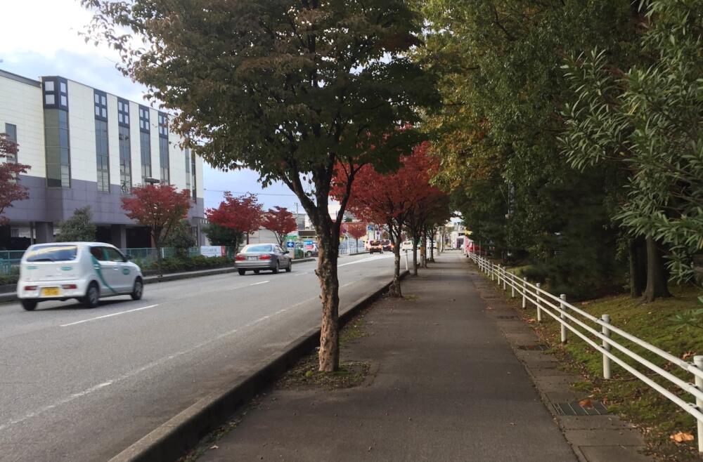 Kí sự chạy bộ ở Nhật - [Phần 3] Thư giãn ở Toyama - Chay bo Toyama 5