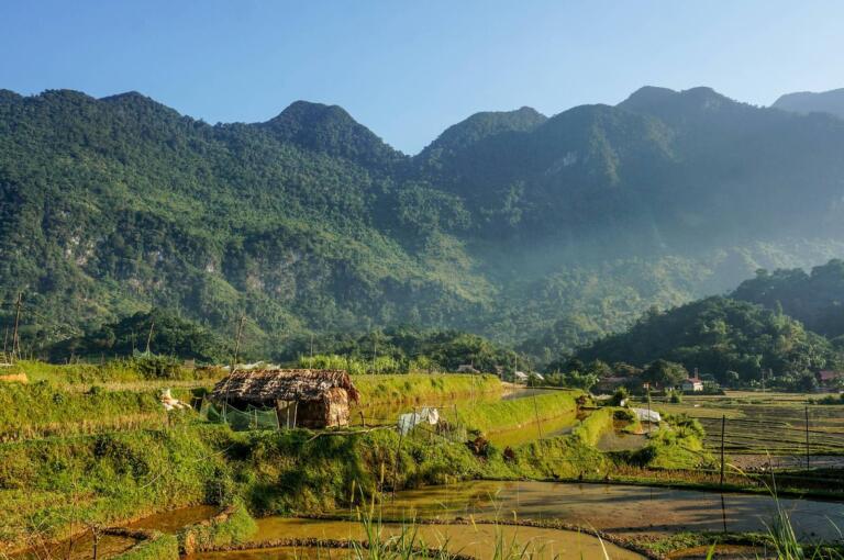 Vietnam Jungle Marathon – Sân chơi mới cho các bạn yêu thích chạy trail địa hình