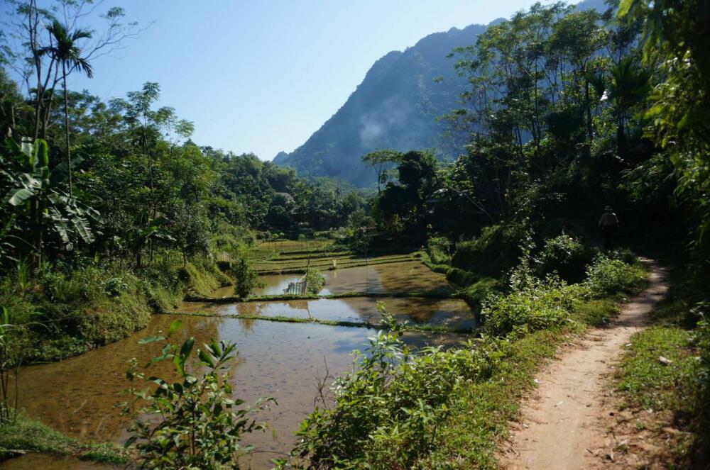 Vietnam Jungle Marathon - Sân chơi mới cho các bạn yêu thích chạy trail địa hình - Vietnam Jungle Marathon 2