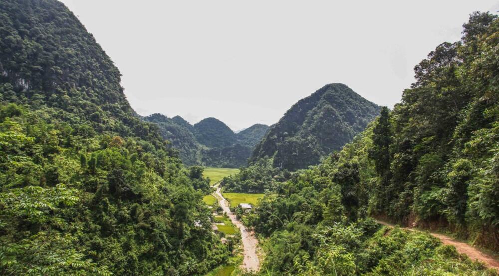 Vietnam Jungle Marathon - Sân chơi mới cho các bạn yêu thích chạy trail địa hình - Vietnam Jungle Marathon 3