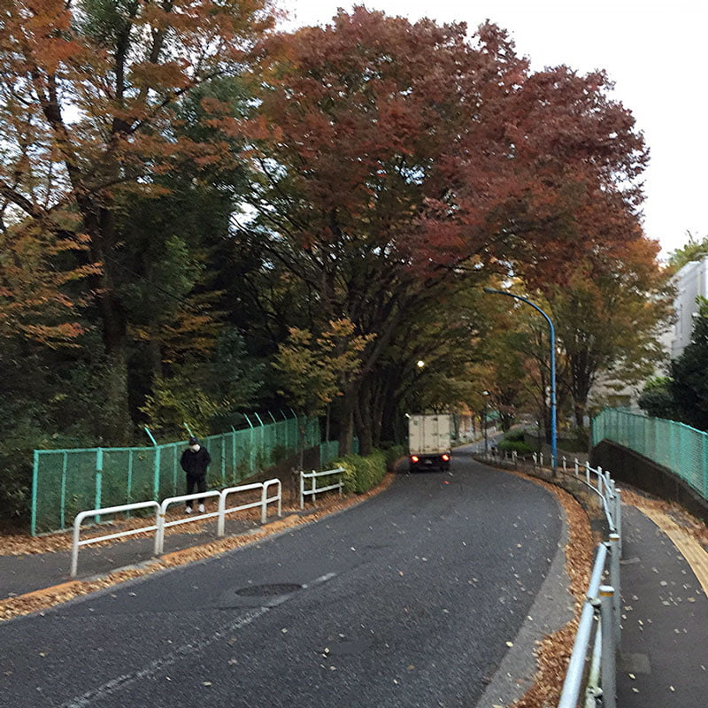 Kí sự chạy bộ ở Nhật – [Phần 4] Vi vu ngắm cảnh Tokyo - chay bo nhat ban tokyo 2