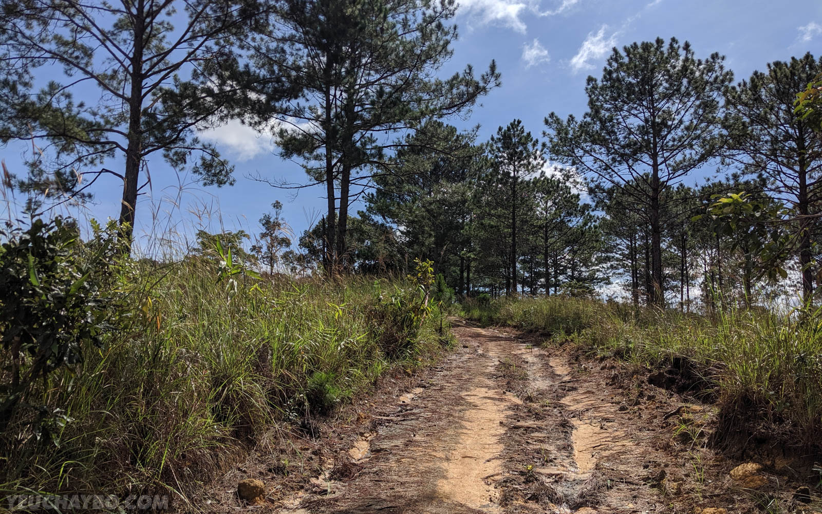 Kí sự La An Ultra Trail 2019 - [Phần 3] Nửa đầu êm ả, nửa sau tàn tạ - ki su la an utral trail 2019 03
