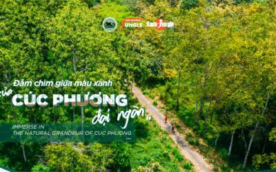 Cuc Phuong Jungle Paths 2023 - cuc phuong jungle paths