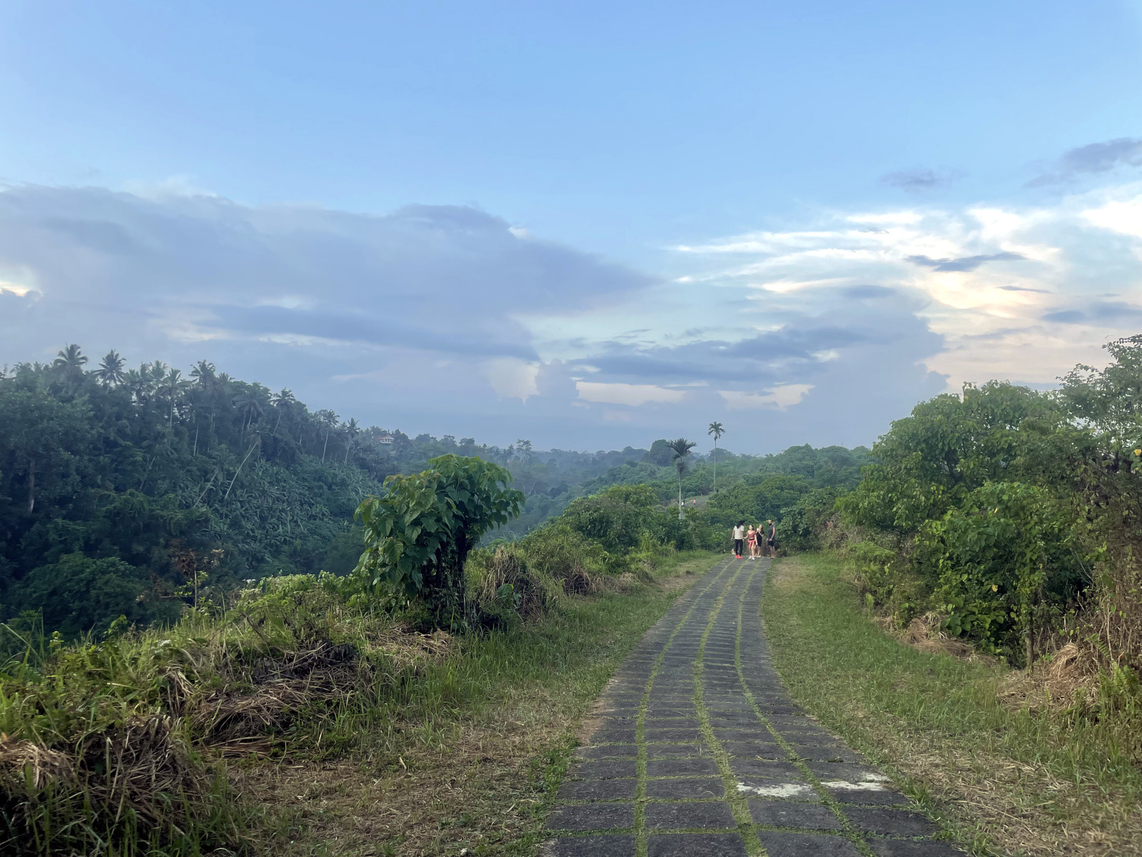 Dạo chơi ngắm cảnh Campuhan Ridge Walk (Bali, Indonesia) - campuhan ridge walk 5