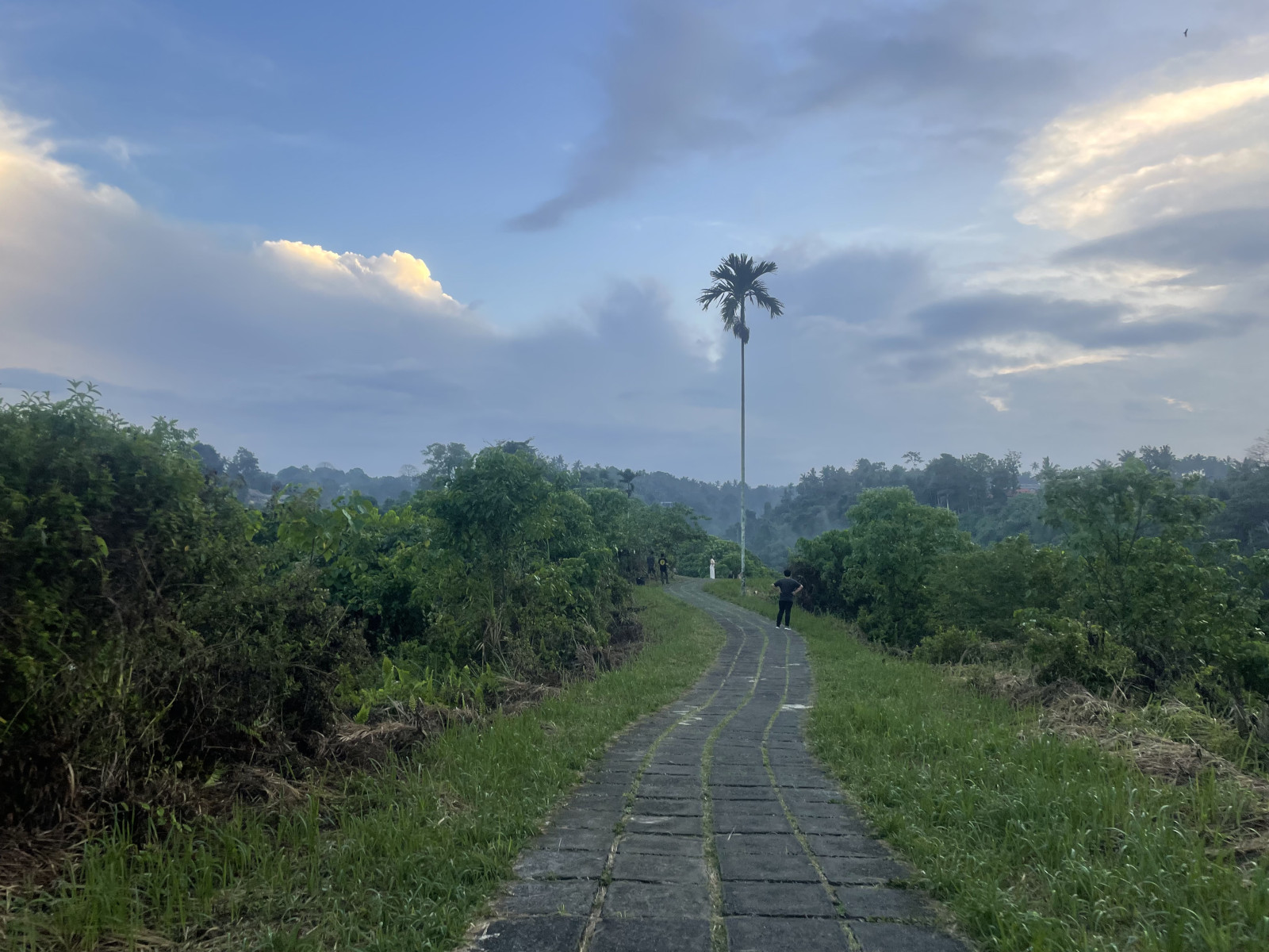 Dạo chơi ngắm cảnh Campuhan Ridge Walk (Bali, Indonesia) - campuhan ridge walk 6