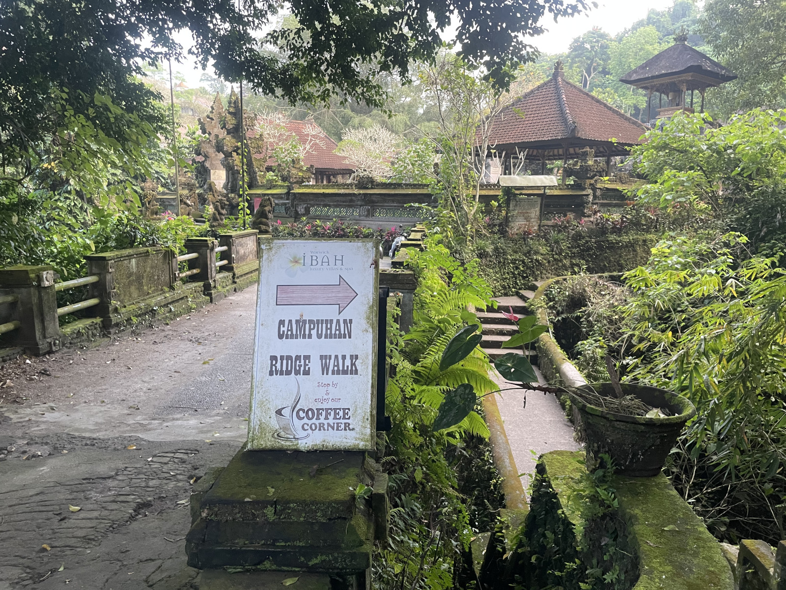 Dạo chơi ngắm cảnh Campuhan Ridge Walk (Bali, Indonesia) - campuhan ridge walk 9