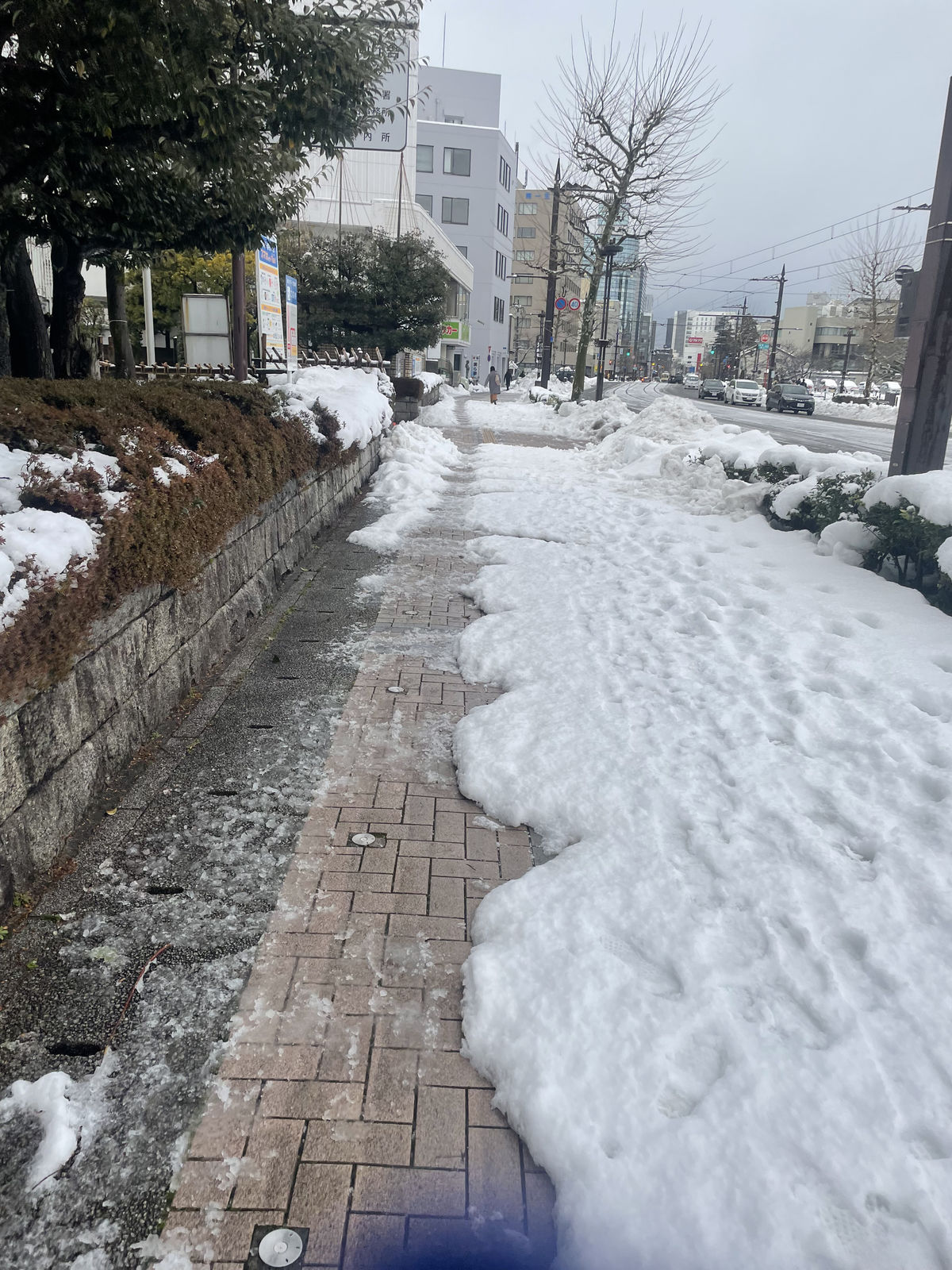 Kí sự chạy bộ giữa mùa đông Nhật Bản 2023 - chay bo nhat ban 2023 toyama 5